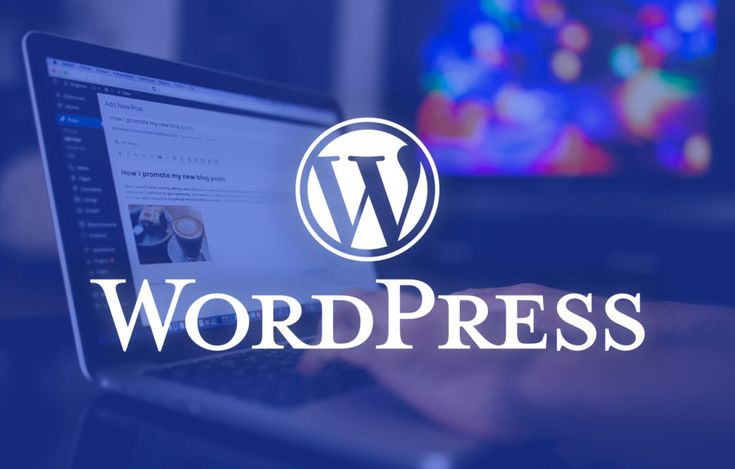 WordPress Developing